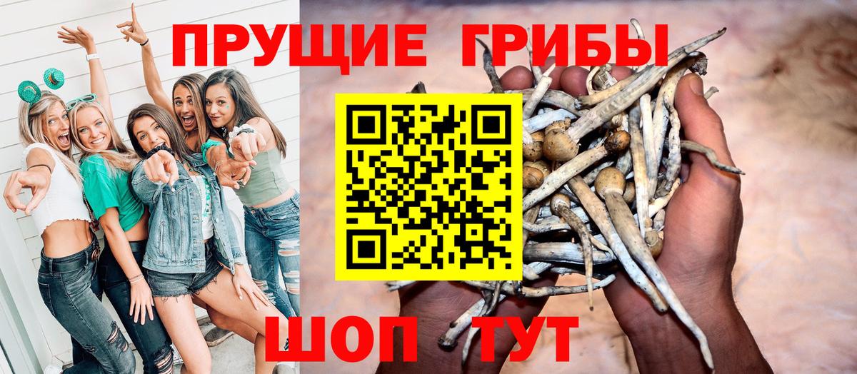 Псилоцибиновые грибы прущие грибы Серпухов